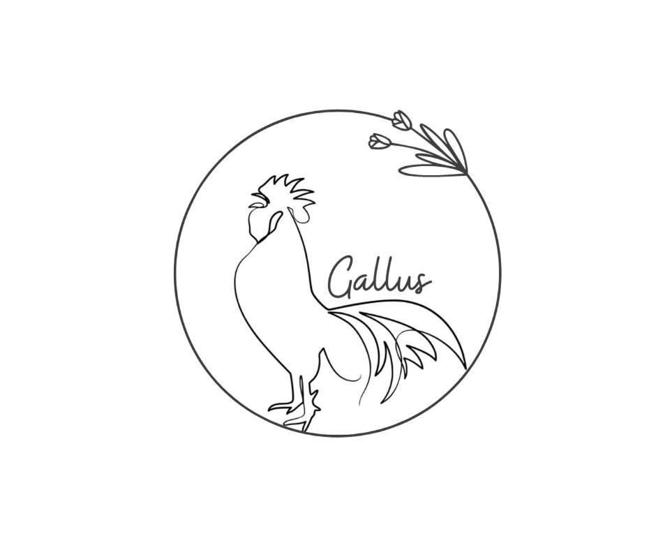 Apartment Gallus Bled Ngoại thất bức ảnh